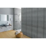 Chauffe-eau instantané CEX9 66 ou 88 kW – Image 2